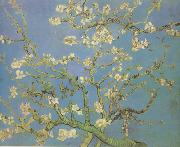 Vincent Van Gogh Blossoming Almond Tree (nn04) Sweden oil painting reproduction